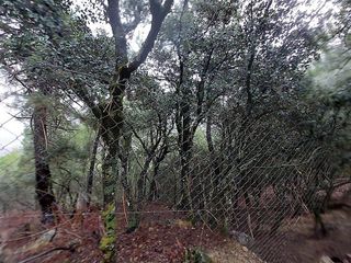 Finca rústica a Iruela (La)