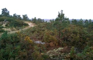 Finca rústica a Lalín