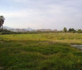 Finca rústica en Sueca. Cm