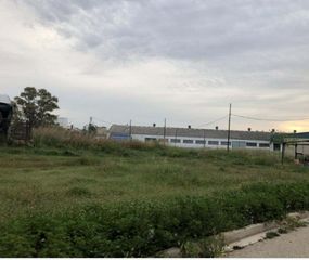 Rural plot in Alginet. Cm