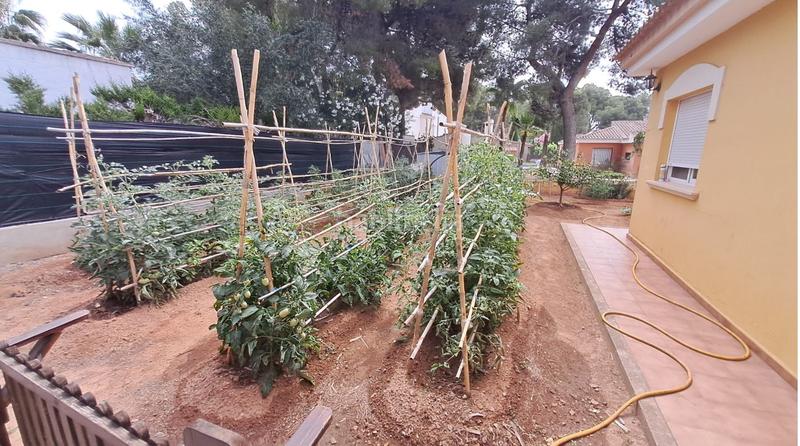 Foto 7f2fa7e0-3d0e-4fdc-acdd-e9d78a60b38e. Chalet en carrer josé gascón sirera 20 gran chalet betera en Bétera