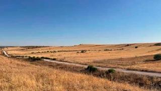 Finca rústica  N/a. Paracuellos del jarama (madrid). paraje valles.