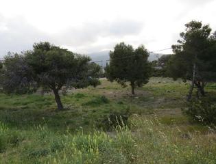 Residential Plot  Carrer del cerç. Mont roig del camp (tarragona). c/ cerç, 7 (miami-platja).