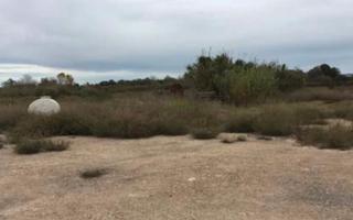 Finca rústica a Carcaixent. Procedente de banco