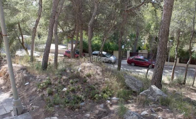 Foto c6868c9b-e626-424e-81f6-ebfcc0852fd2. Terreno residenziale in Centro Chiva