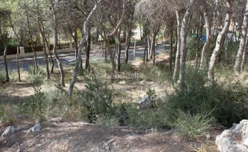 Foto e94aac10-75d8-43af-88a2-0c2c79a5f680. Terreno residenziale in Centro Chiva