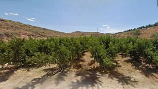 Finca rústica  N/a. Aitona (lérida). "okupado" (no se puede visitar ni hipotecar).