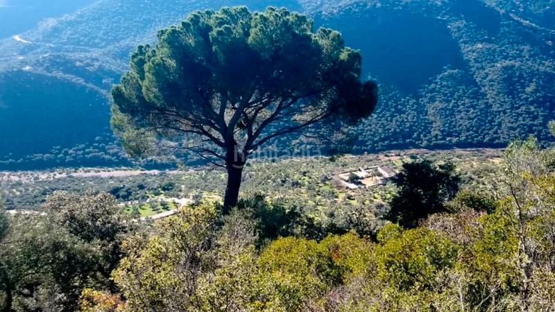 Foto d5b23342-351f-4f43-b85d-e33e941e26a0. Fondo rustico in Obejo