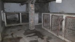 Landgut  Camino. Cendea de olza (navarra). "okupado" (no se puede visitar ni hipo