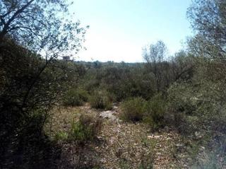 Finca rústica  Son gual-k. Suelo en palma de mallorca.