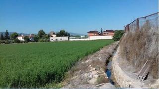Finca rústica  Carretera de beniajan. Murcia (murcia). "okupado" (no se puede visitar ni hipotecar).
