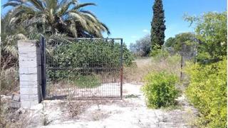 Finca rústica  Camino villanueva. Murcia (murcia). "okupado" (no se puede visitar ni hipotecar).