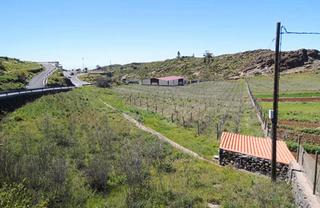 Finca rústica  Calle alajero. Finca rústica  en lugar vega redonda pg 15.(la gomera)