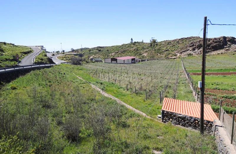 Foto 96802865-c437-4bf4-ba98-e9ff8f2e6dd5. Finca rústica a Alajeró