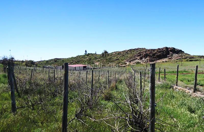 Foto f7c899bf-81d6-44d9-8649-2ef8eebe9062. Finca rústica a Alajeró