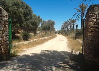 Chalet  Carrer de sa fira. Llucmajor (illes balears),