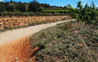 Finca rústica a Turís. Procedente de banco