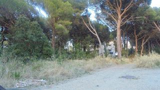 Terreny residencial  Carrer pinedes. Calonge, (girona) terreno urbano en carrer pinedes.