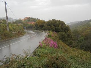 Wohngrundstück  Carrer de sa riera