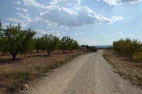 Fondo rustico in Requena. Activo bancario