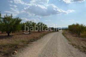 Foto 0ac838a6-ca44-4317-8695-d57af7822936. Finca rústica a Requena