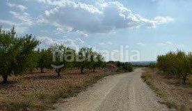 Foto b3fcde57-65b8-4258-baa3-fc8f1c3b3b5e. Finca rústica a Requena