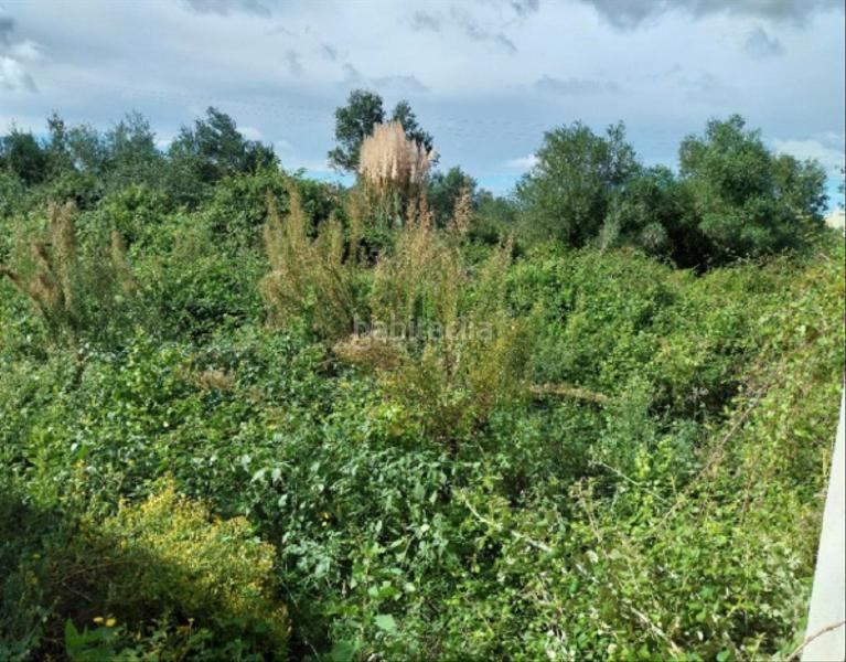 Foto 00cf7d2c-2de4-4e02-b04a-0476c016c740. Wohngrundstück in Sueca Sueca