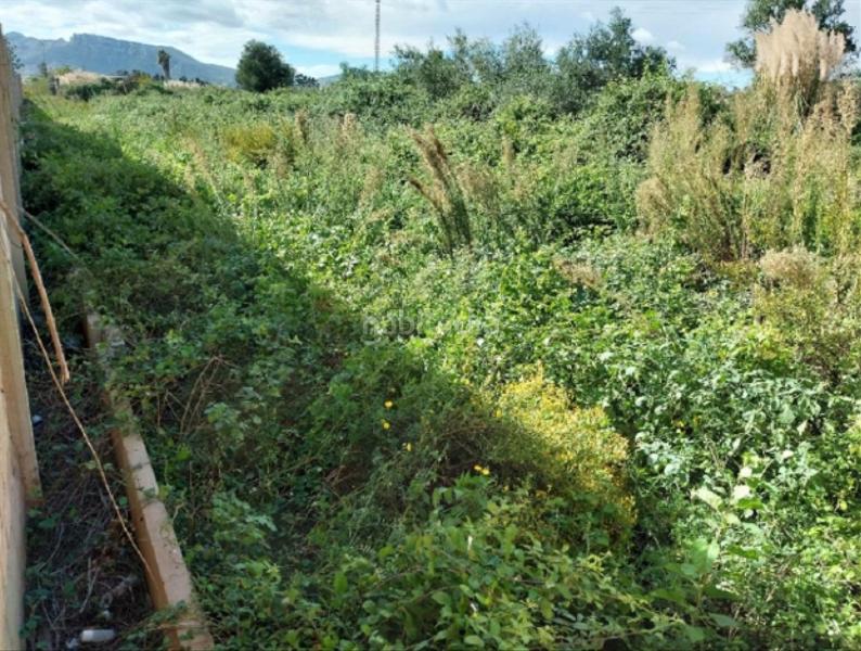 Foto 757f8d12-0057-4cc8-baab-180739e4d498. Wohngrundstück in Sueca Sueca