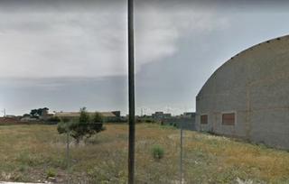 Rural plot in Estadio Castalia. Procedente de banco