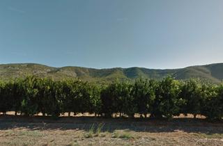 Propriété  N/a. Alcalà de xivert (castellón). sin posesión “ocupado” (no se pued