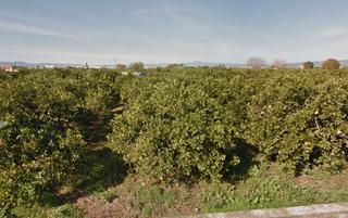 Propriété  Partida la torre. Borriana/burriana (castellón). sin posesión “ocupado” (no se pue