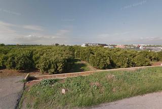 Propriété  Partida poligono 40. Borriana/burriana (castellón). sin posesión “ocupado” (no se pue