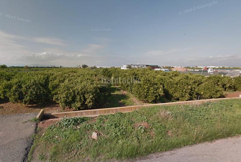 Foto 15c879b7-5c49-49db-81c8-899c3743d73e. Finca rústica borriana/ (castellón). sin posesión “ocupado” (no se puede visitar ni hipotecar). en Burriana