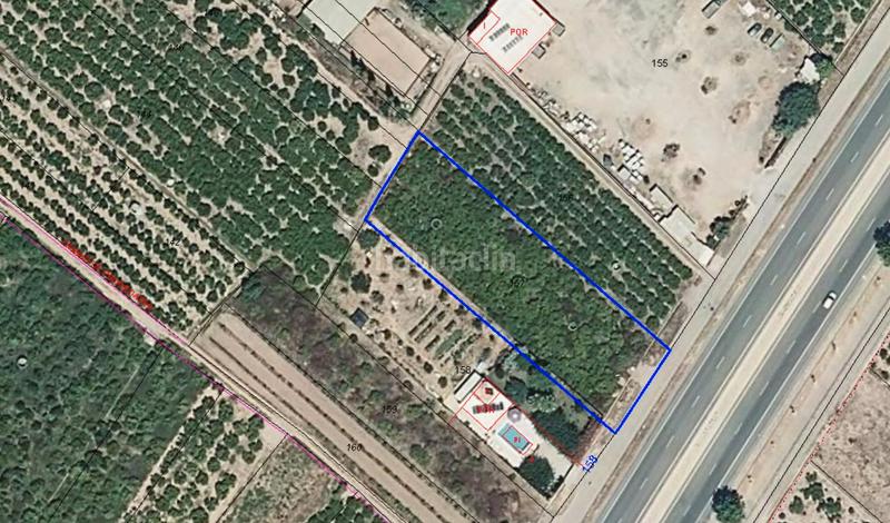 Foto 9c9b9069-5af9-4133-aaff-aa9508c5aa71. Finca rústica borriana/ (castellón). sin posesión “ocupado” (no se puede visitar ni hipotecar). en Burriana