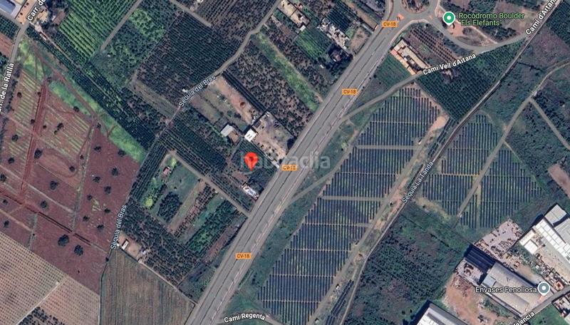 Foto db241732-8283-4436-bc4e-cae68ecae3b1. Finca rústica borriana/ (castellón). sin posesión “ocupado” (no se puede visitar ni hipotecar). en Burriana