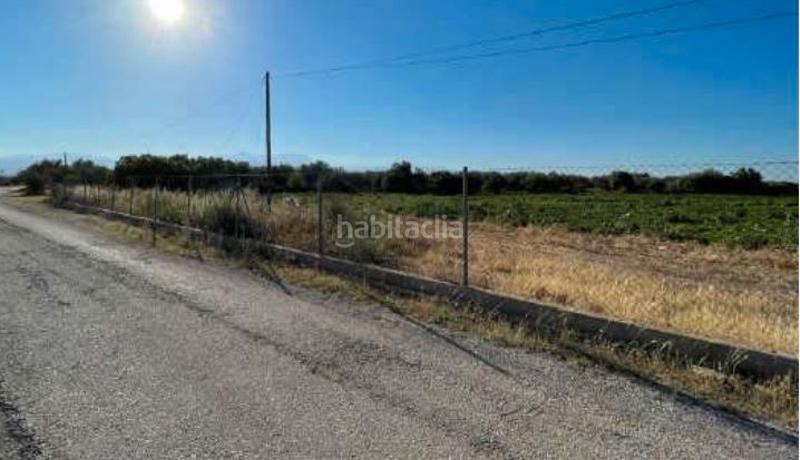 Foto 10bc6854-8153-4f08-ac5e-033965774432. Finca rústica (tarragona). "okupado" (no se puede visitar ni hipotecar). en Tortosa