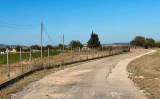 Finca rústica  N/a. Tortosa (tarragona). "okupado" (no se puede visitar ni hipotecar