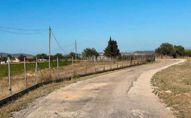 Foto 7c0b9f48-aeb6-4be0-81f6-db9fb526ede1. Finca rústica (tarragona). "okupado" (no se puede visitar ni hipotecar). en Tortosa