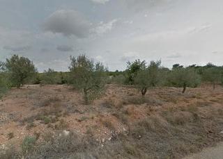 Finca rústica  N/a. Sant jordi/san jorge ( castellón ) sect parcela 48 polig.