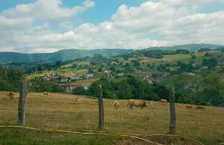 Fondo rustico  Calle siero. Siero (asturias). lugar cotadiello y el cerrón.