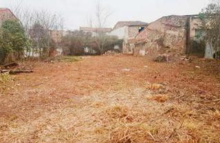 Terreny residencial  Diseminado afores. Anglès (gerona). c/ sant pere sestreques.