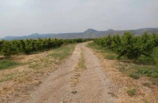 Finca rústica  N/a. Massalcoreig (lérida). polígono 6.