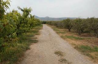 Finca rústica  N/a. Massalcoreig (lérida). polígono 6.