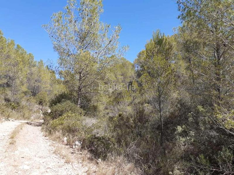 Foto 256762f2-767f-40d1-aaea-f9e09ed589e2. Finca rústica a Tivissa