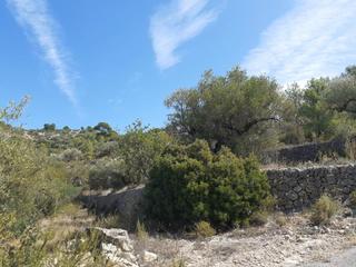 Finca rústica a Bítem. Bítem (tarragona).