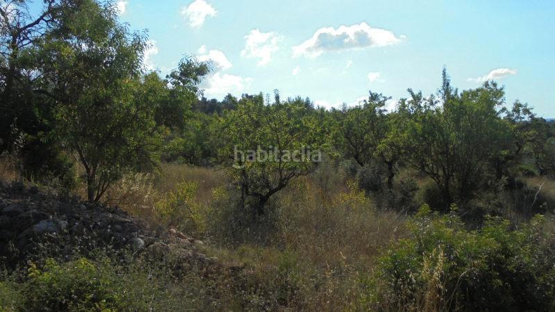Foto 47e92d69-520d-4a9c-b776-de2119299f5b. Finca rústica a Guiamets (Els)