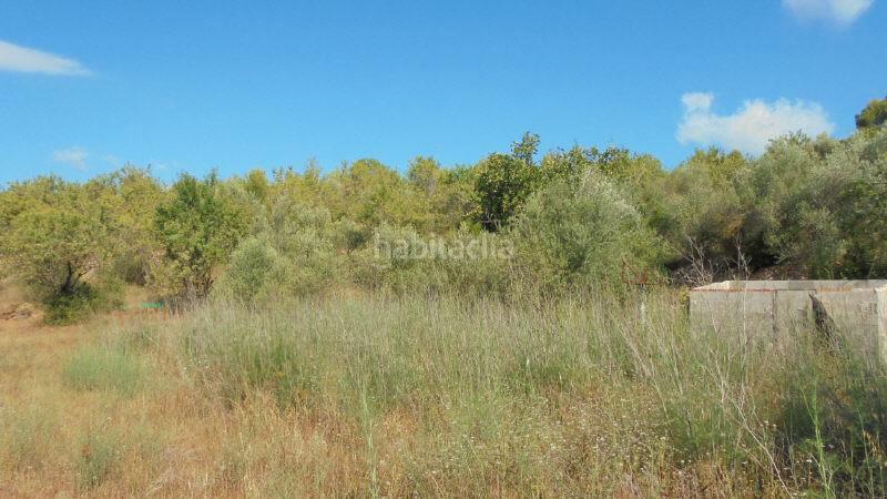 Foto 5890bab3-bed8-4262-abe6-b541e7646a26. Finca rústica a Guiamets (Els)