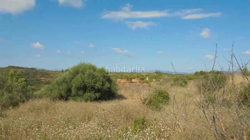 Foto 6065d8fd-2368-4d60-8b7f-0b7500c556dc. Finca rústica a Guiamets (Els)