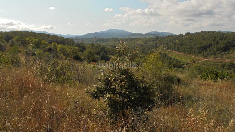 Foto d3c6fbfd-606b-4b27-9192-e537dfa6c5e4. Finca rústica a Guiamets (Els)