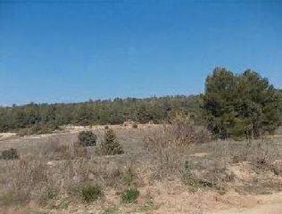 Finca rústica a Tivissa. Tivissa (tarragona). paraje mas d´en brunet. polígono 12.